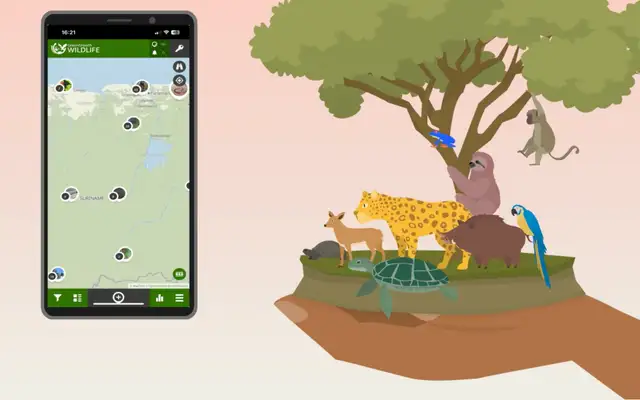 The Green Growth Wildlife app on a phone, showing sighting markers across a map of Suriname, beside an illustration of a hand holding a patch of forest with a jaguar, sloth, macaw and turtle