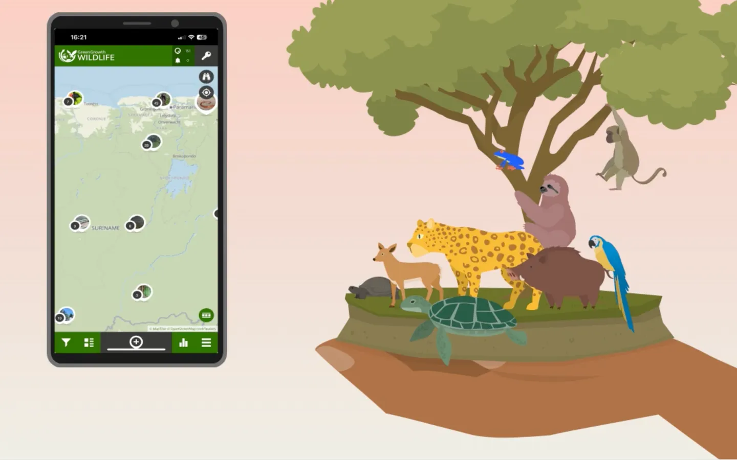 The Green Growth Wildlife app on a phone, showing sighting markers across a map of Suriname, beside an illustration of a hand holding a patch of forest with a jaguar, sloth, macaw and turtle