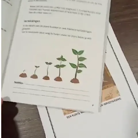 The planting booklet that comes with each garden, showing a seedling growing in stages