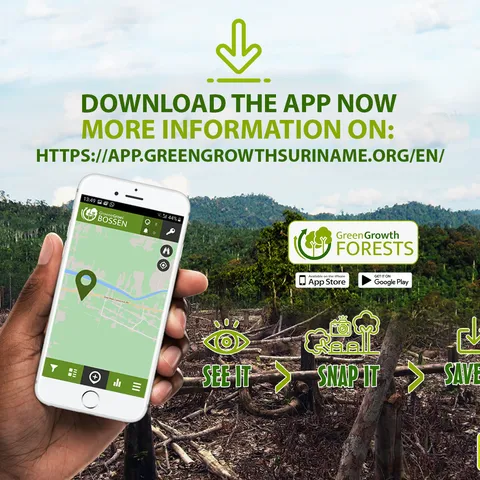 Download promotion for the Green Growth Forests app: a hand holding a phone with the Groene Groei Bossen map open, over a photo of cleared and felled forest, with the steps "See it, snap it, save it"
