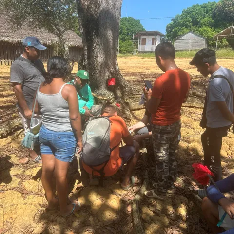 Training participants crouching around the roots of a large tree during fieldwork, marking the spot with a red flag while others look on
