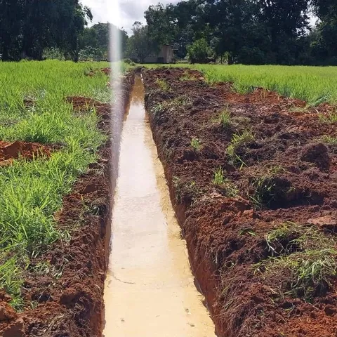 A freshly dug irrigation trench, filled with water, running between rows of planted earth