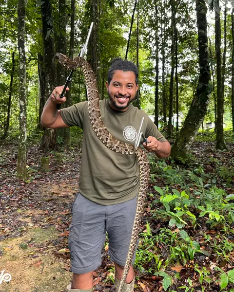 Jean-Pierre Veira standing in the forest, holding a large snake on a snake hook
