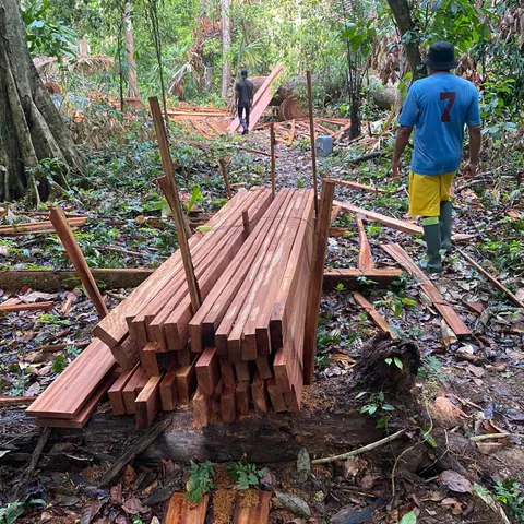 Freshly sawn planks and beams stacked on the forest floor, with two men carrying timber away