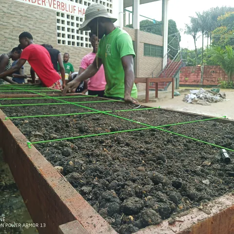 Volunteers preparing the soil in a long raised garden bed marked out with string