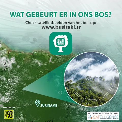 Busi Taki banner asking “Wat gebeurt er in ons bos?” (“What is happening in our forest?”), with satellite imagery and a link to busitaki.sr