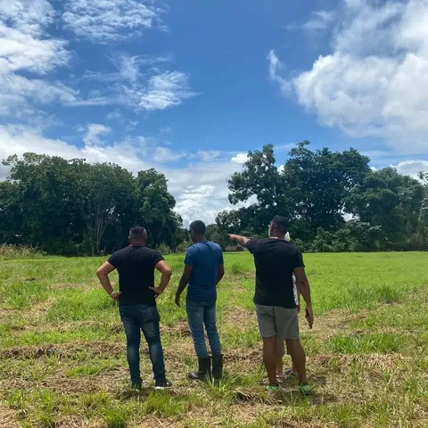 Three men look out over the grassy plot where the food forest will be planted