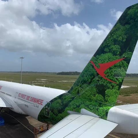 The same forest-printed tail seen from closer in, with the airstrip and treeline behind it