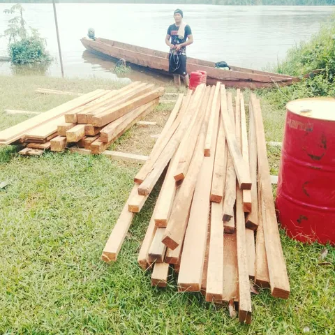 Gezaagd hout voor de school, opgestapeld aan de rivieroever met een boot erachter