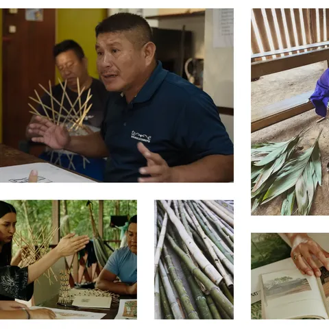 Photographs from the bamboo workshops: residents of Kwamalasamutu discussing a bamboo model, Lindsey van de Wetering explaining a structure, cut bamboo culms, and leaves gathered for roofing